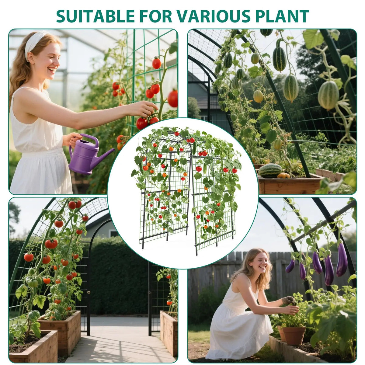 Metal Garden Arch Trellis With Netting For Climbing Plants