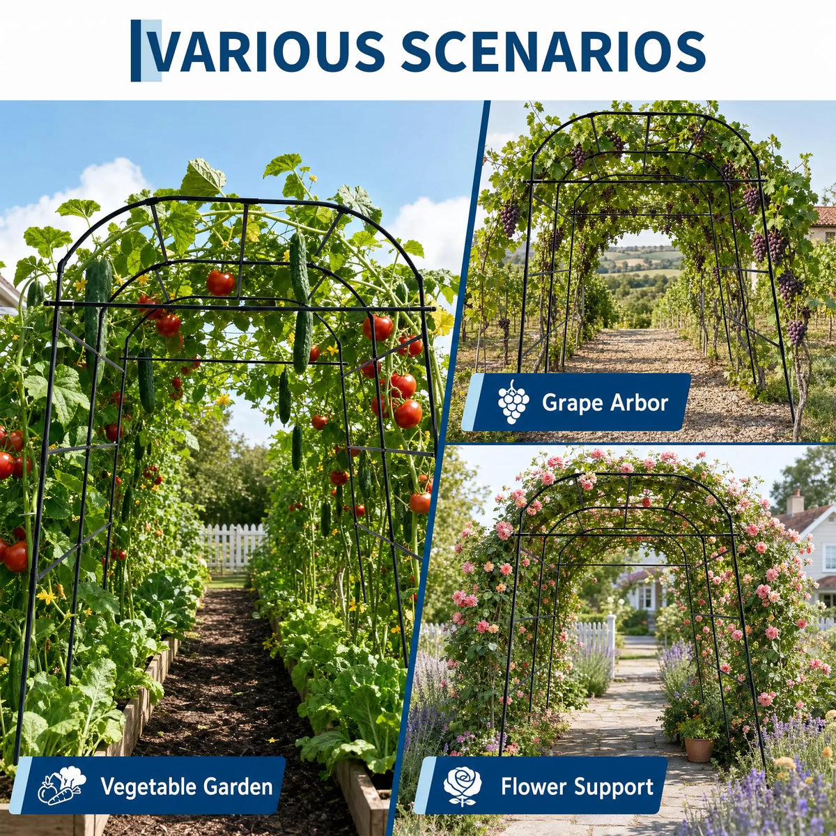 HiMISS Metal Garden Arch Trellis For Climbing Plants