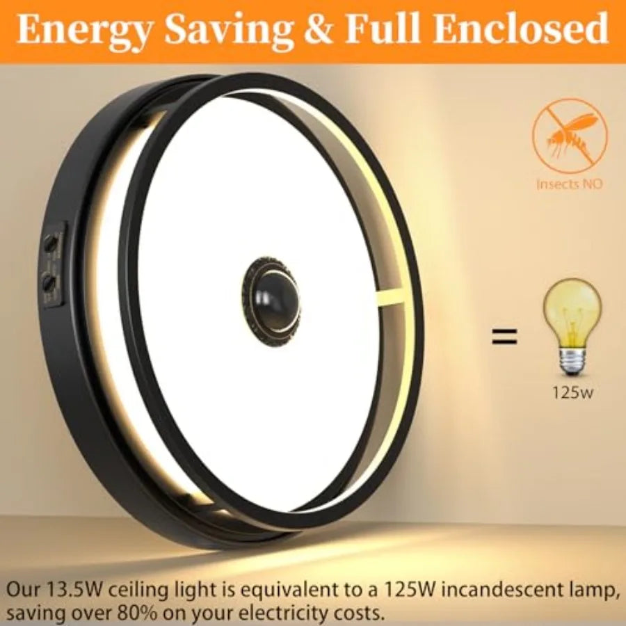Motion Sensor Outdoor LED Ceiling Light With Dusk To Dawn
