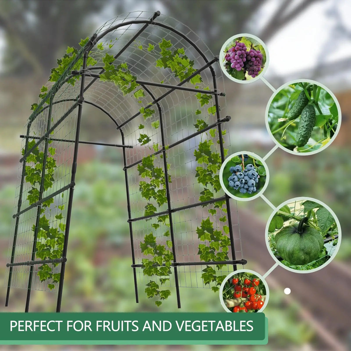 Metal Garden Arch Trellis With Netting For Climbing Plants