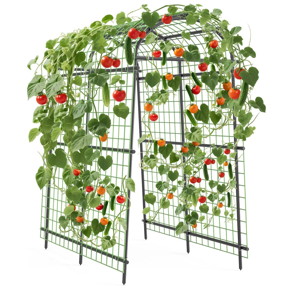 Metal Garden Arch Trellis With Netting For Climbing Plants