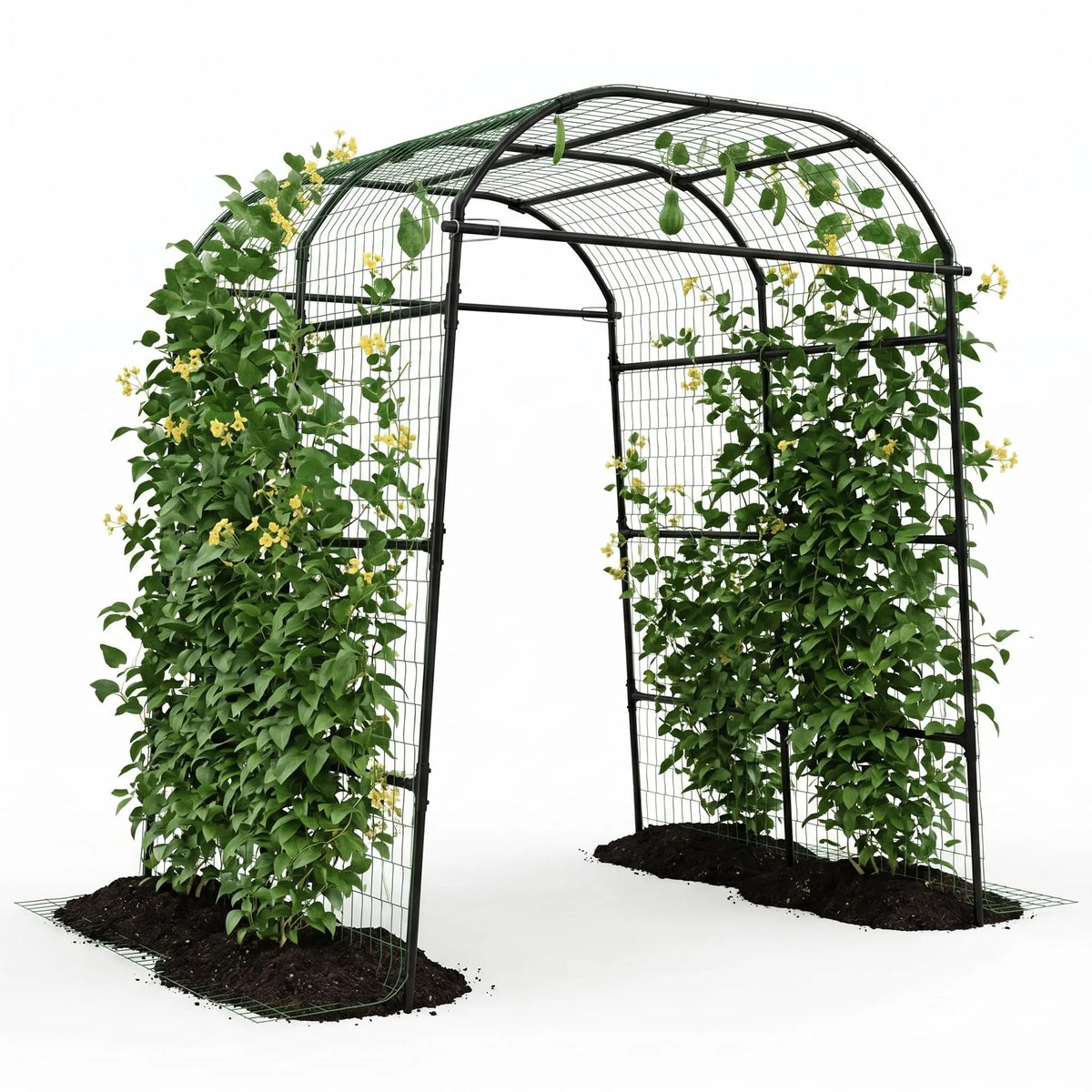 HiMISS Metal Garden Arch Trellis For Climbing Plants
