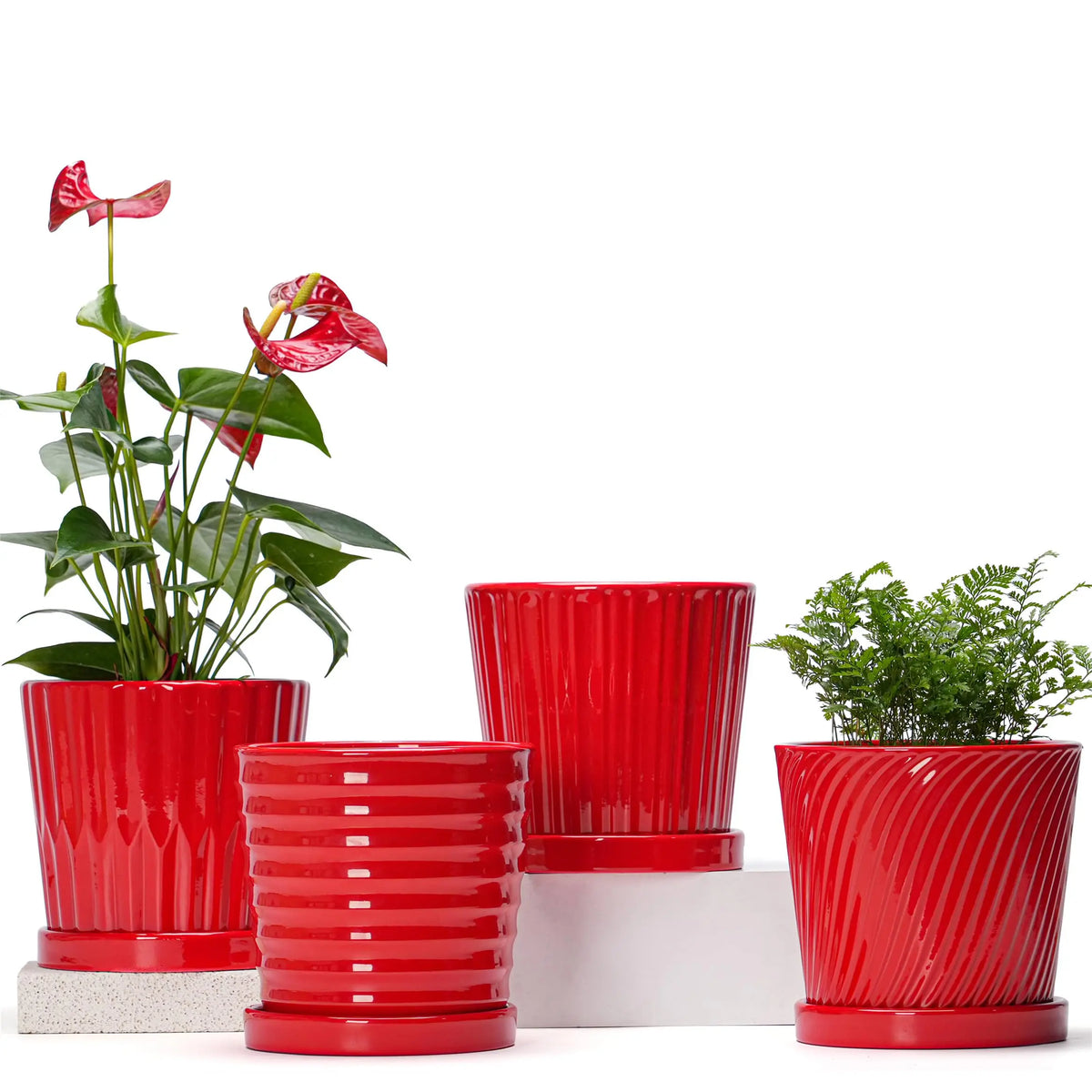 Premium Ceramic Planter Pots Featuring Easy Drainage And Matching Saucers