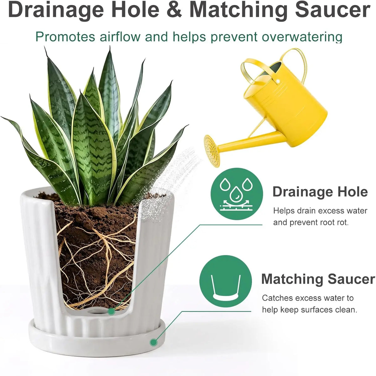 Premium Ceramic Planter Pots Featuring Easy Drainage And Matching Saucers