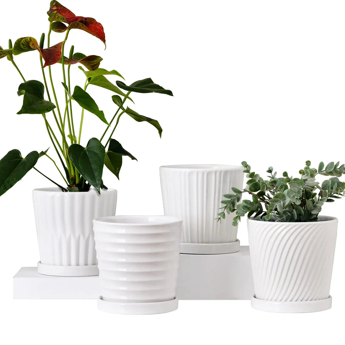 Premium Ceramic Planter Pots Featuring Easy Drainage And Matching Saucers