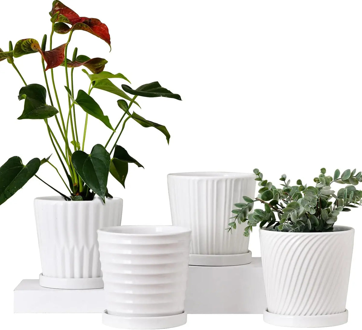 Premium Ceramic Planter Pots Featuring Easy Drainage And Matching Saucers