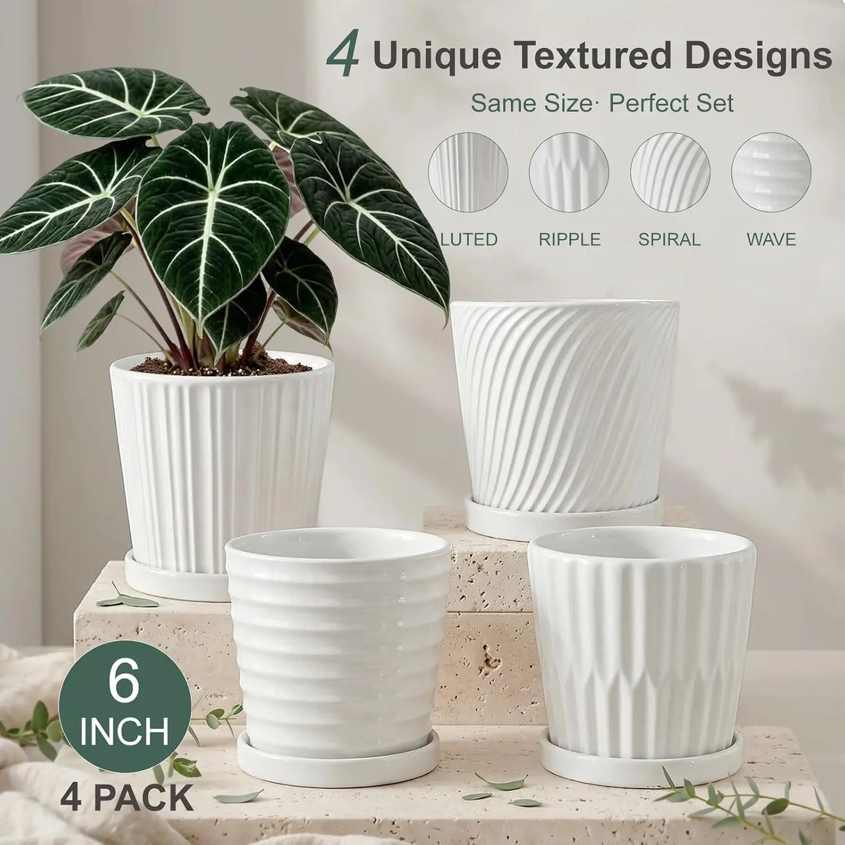 Premium Ceramic Planter Pots Featuring Easy Drainage And Matching Saucers