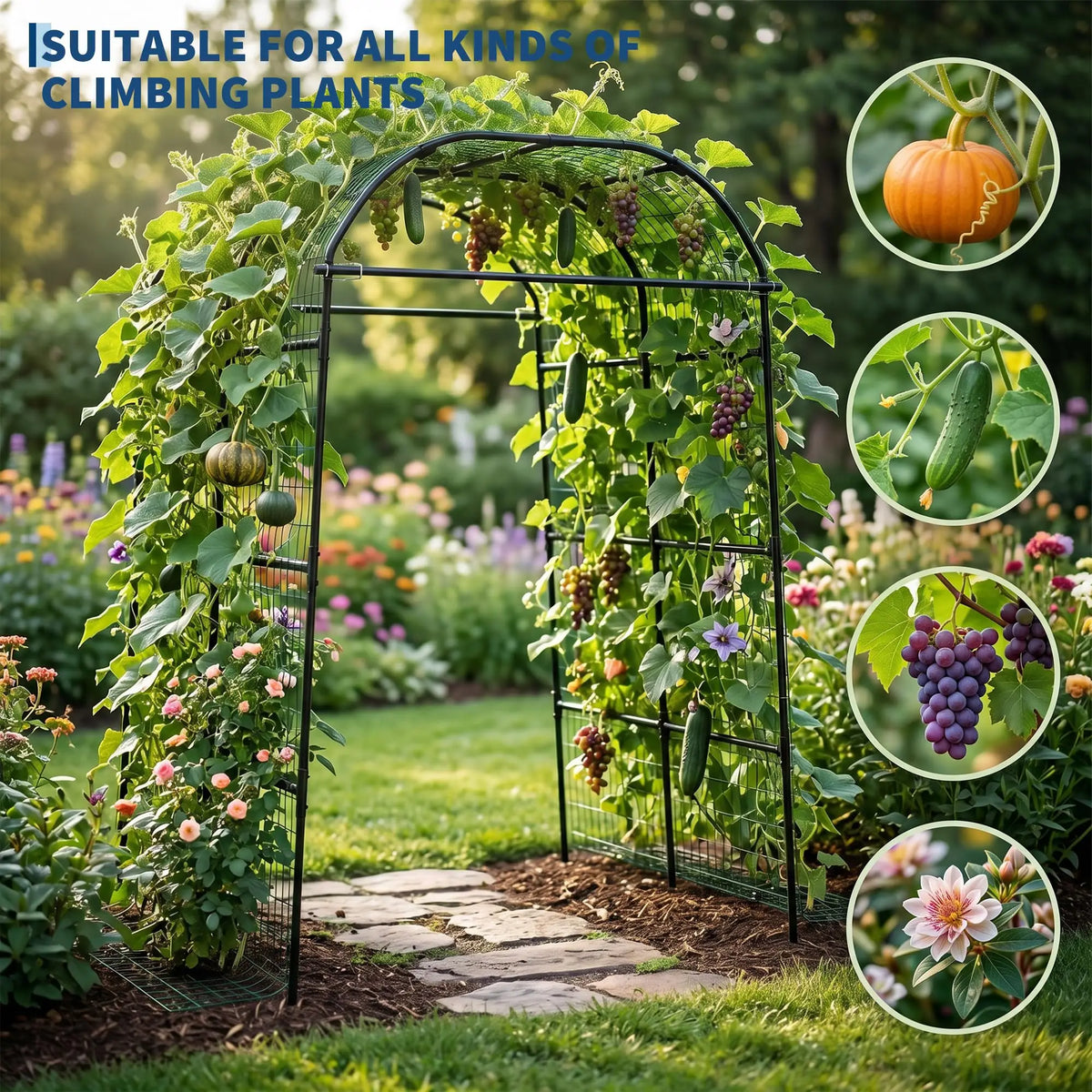HiMISS Metal Garden Arch Trellis For Climbing Plants