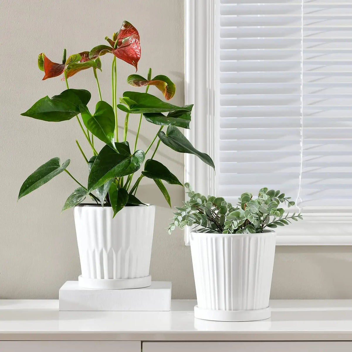Premium Ceramic Planter Pots Featuring Easy Drainage And Matching Saucers